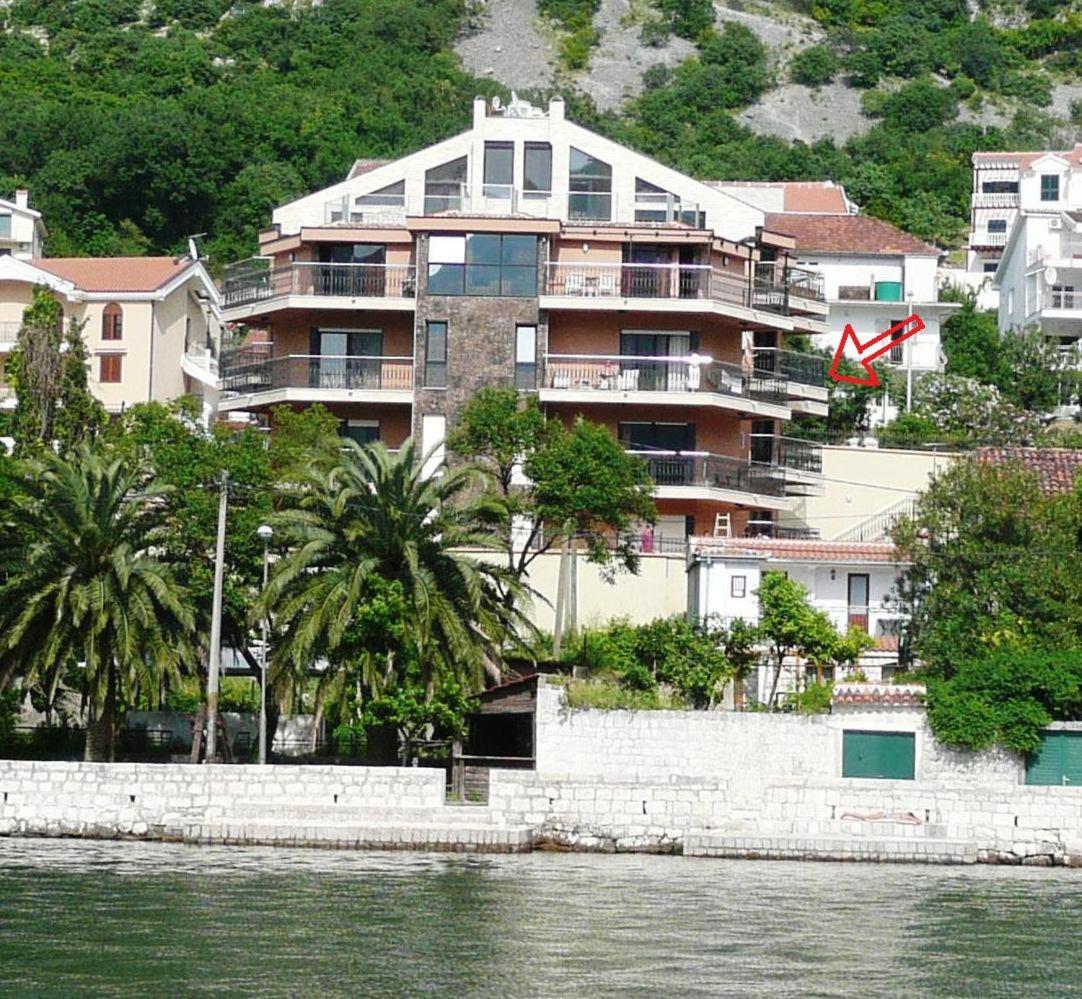 Apartments Coral Kotor Ngoại thất bức ảnh